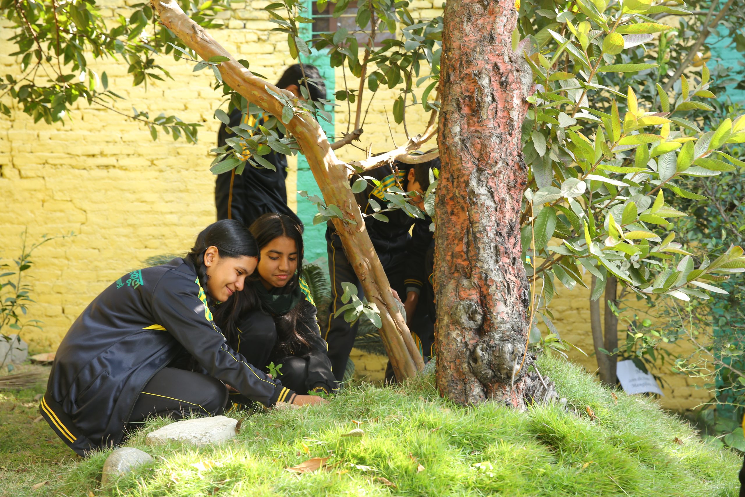 Basic Program Grades 1-8